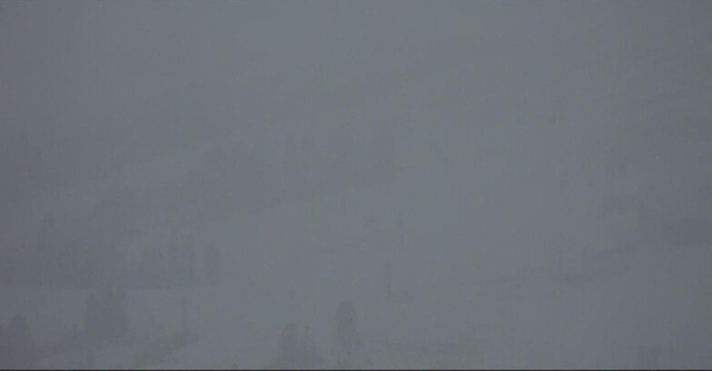 Webcam Pampeago  - Predazzo -  Obereggen - Rifugi Zischg e Ganischger