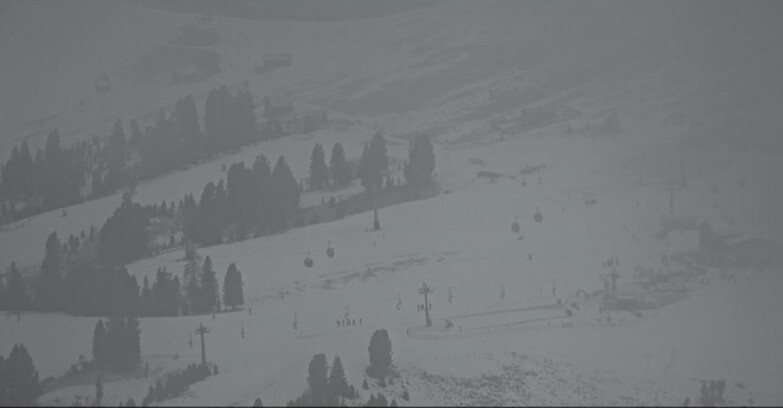 Webcam Pampeago  - Predazzo -  Obereggen - Rifugi Zischg e Ganischger