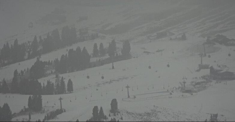 Webcam Pampeago  - Predazzo -  Obereggen - Rifugi Zischg e Ganischger