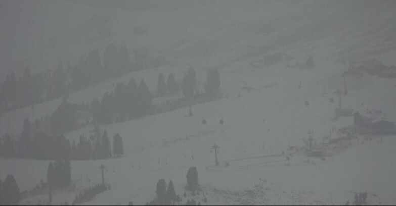 Webcam Pampeago  - Predazzo -  Obereggen - Rifugi Zischg e Ganischger