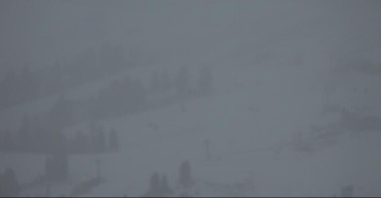 Webcam Pampeago  - Predazzo -  Obereggen - Rifugi Zischg e Ganischger