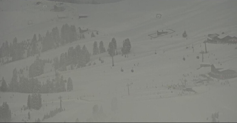 Webcam Pampeago  - Predazzo -  Obereggen - Zischg und Ganischger Berghütten