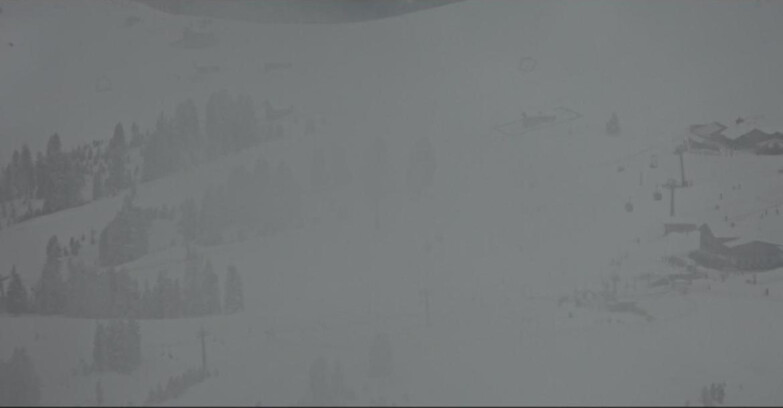 Webcam Pampeago  - Predazzo -  Obereggen - Zischg und Ganischger Berghütten