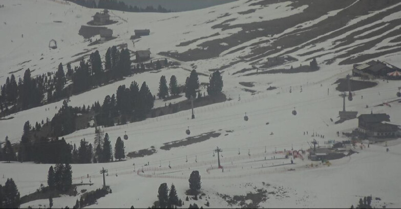 Webcam Pampeago  - Predazzo -  Obereggen - Mountain huts Zisch and Genischer