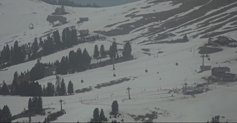 Webcam Pampeago  - Predazzo -  Obereggen - Mountain huts Zisch and Genischer