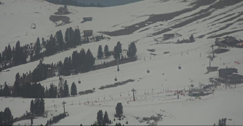 Webcam Pampeago  - Predazzo -  Obereggen - Rifugi Zischg e Ganischger