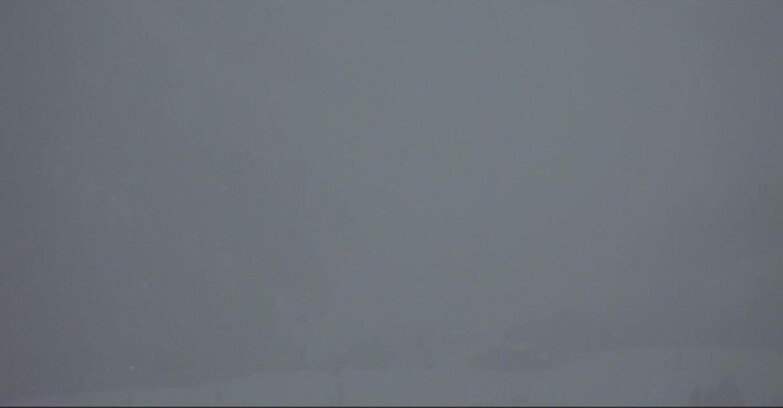 Webcam Pampeago  - Predazzo -  Obereggen - Seggiovia Obereggen