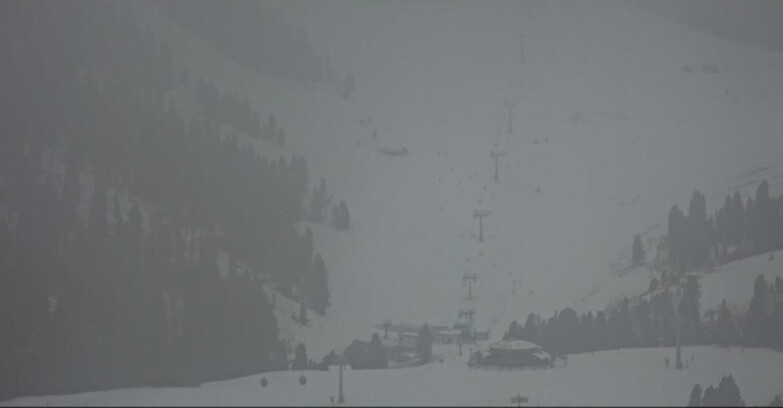 Webcam Pampeago  - Predazzo -  Obereggen - Seggiovia Obereggen