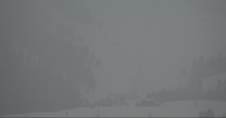 Webcam Pampeago  - Predazzo -  Obereggen - Seggiovia Obereggen