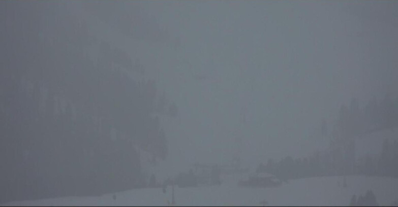 Webcam Pampeago  - Predazzo -  Obereggen - Seggiovia Obereggen