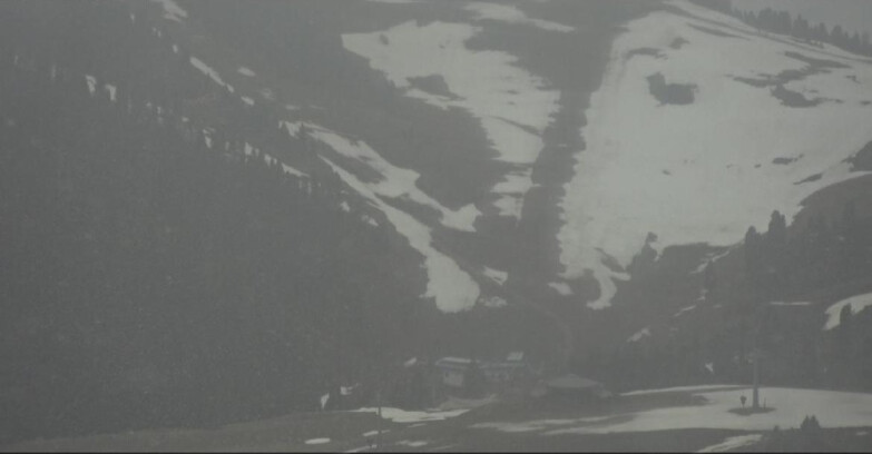 Webcam Pampeago  - Predazzo -  Obereggen - Seggiovia Obereggen