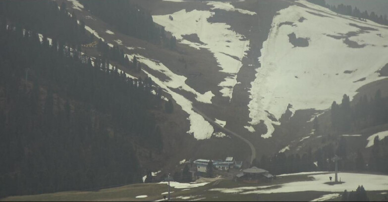 Webcam Pampeago  - Predazzo -  Obereggen - Seggiovia Obereggen