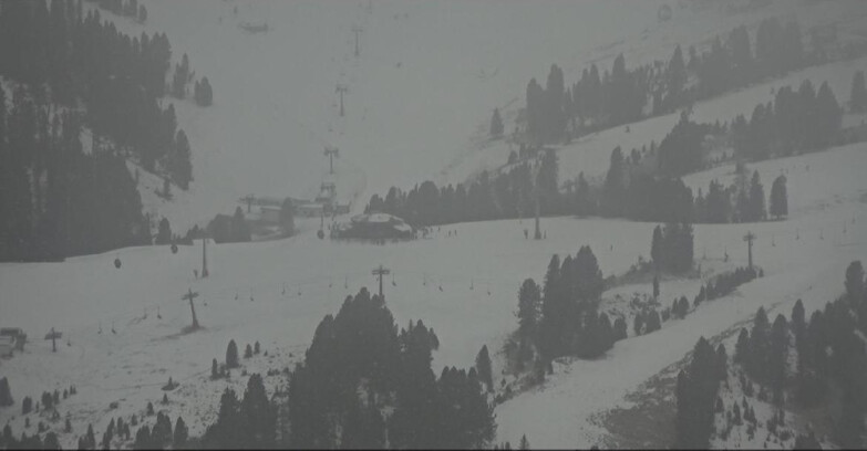 Webcam Pampeago  - Predazzo -  Obereggen - Rifugio Latemar
