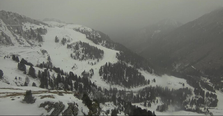 Webcam Pampeago  - Predazzo -  Obereggen - Piste Agnello