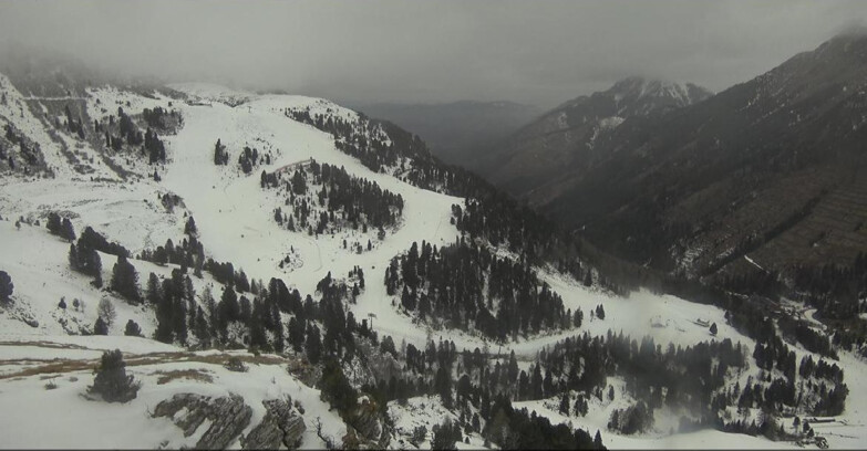 Webcam Pampeago  - Predazzo -  Obereggen - Piste Agnello