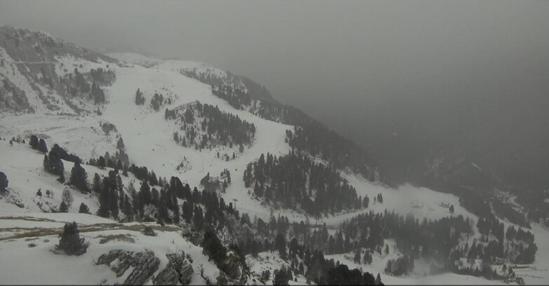 Webcam Pampeago  - Predazzo -  Obereggen - Piste Agnello