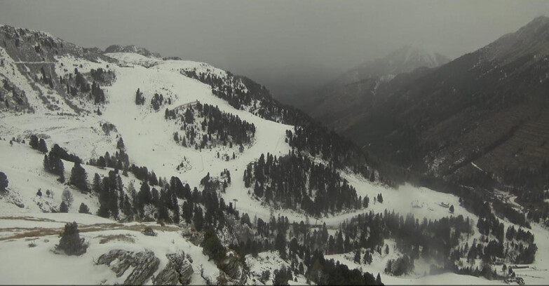 Webcam Pampeago  - Predazzo -  Obereggen - Agnello Slope
