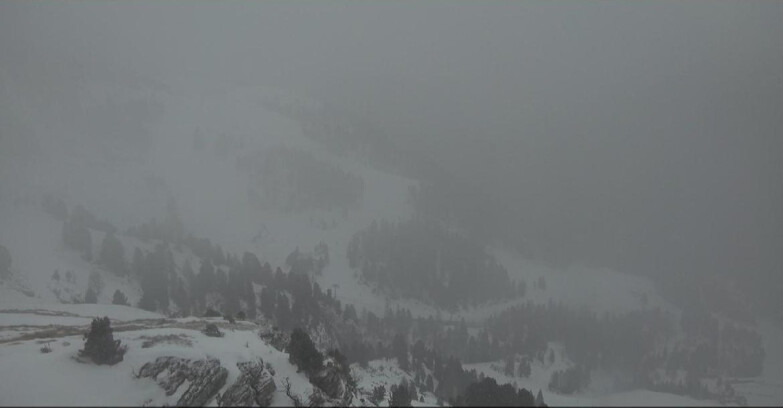 Webcam Pampeago  - Predazzo -  Obereggen - Agnello Slope