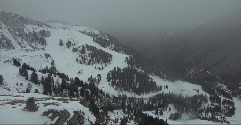 Webcam Pampeago  - Predazzo -  Obereggen - Piste Agnello