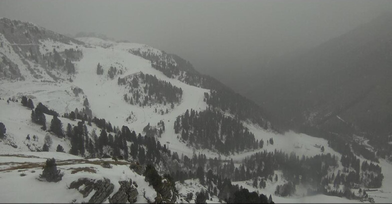 Webcam Pampeago  - Predazzo -  Obereggen - Piste Agnello