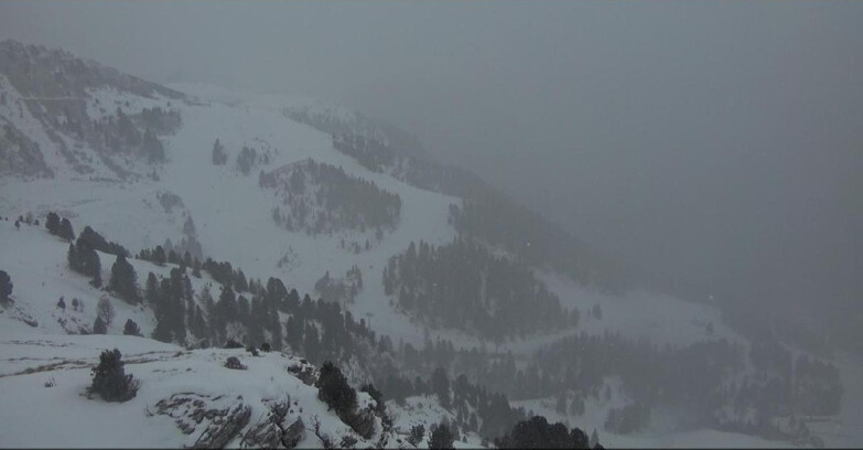 Webcam Pampeago  - Predazzo -  Obereggen - Pista Agnello