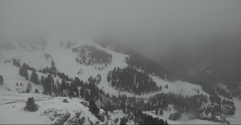 Webcam Pampeago  - Predazzo -  Obereggen - Pista Agnello