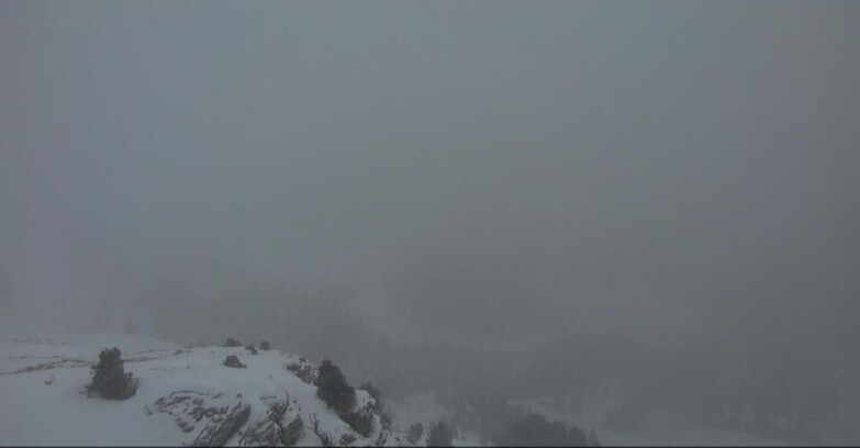 Webcam Pampeago  - Predazzo -  Obereggen - Pista Agnello