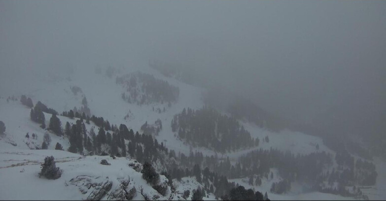 Webcam Pampeago  - Predazzo -  Obereggen - Pista Agnello