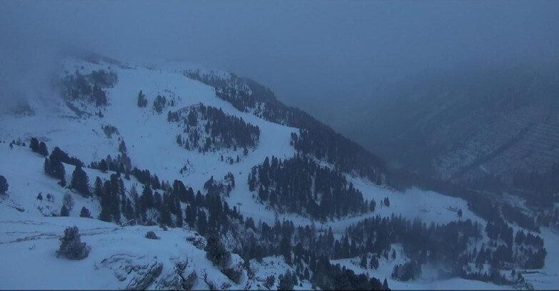 Webcam Pampeago  - Predazzo -  Obereggen - Pista Agnello