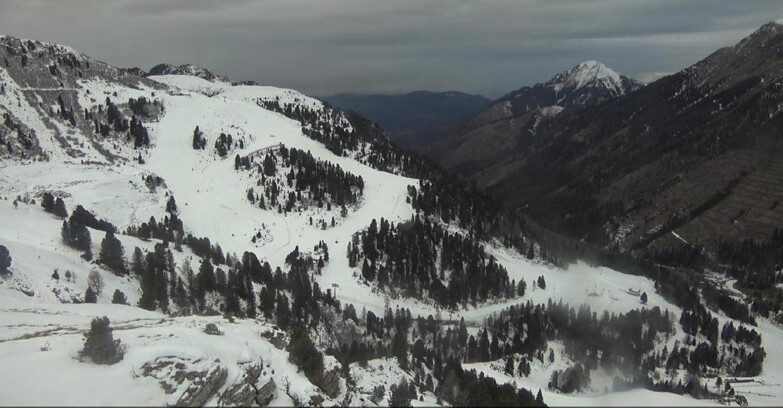 Webcam Pampeago  - Predazzo -  Obereggen - Pista Agnello