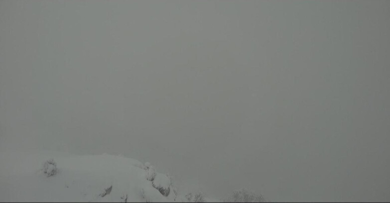 Webcam Pampeago  - Predazzo -  Obereggen - Pista Agnello