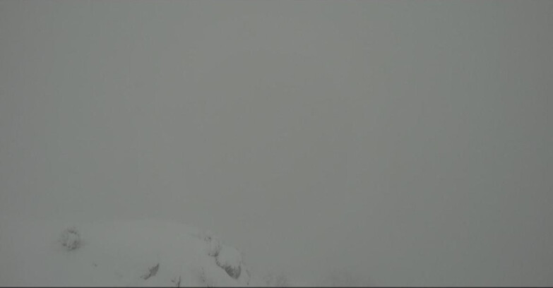 Webcam Pampeago  - Predazzo -  Obereggen - Pista Agnello