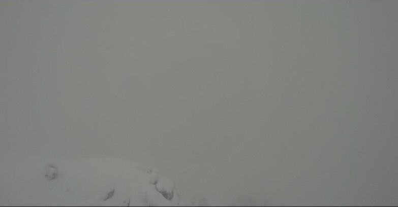 Webcam Pampeago  - Predazzo -  Obereggen - Pista Agnello