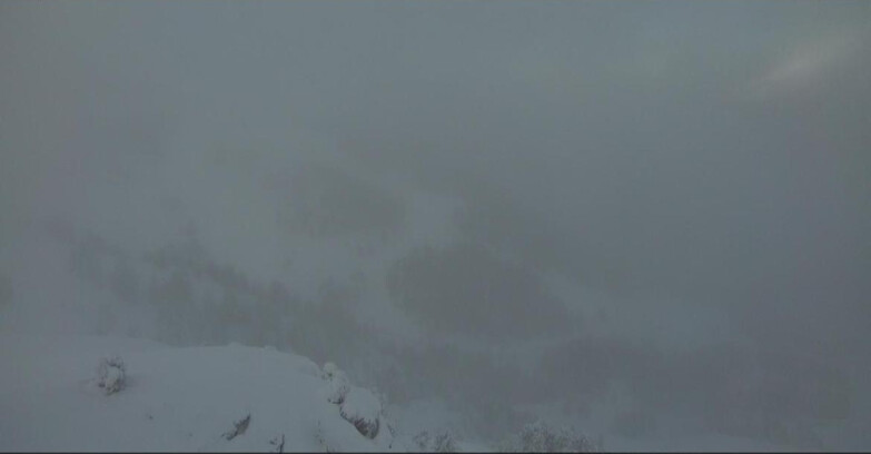 Webcam Pampeago  - Predazzo -  Obereggen - Pista Agnello