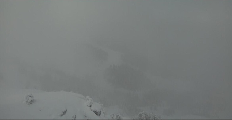 Webcam Pampeago  - Predazzo -  Obereggen - Pista Agnello