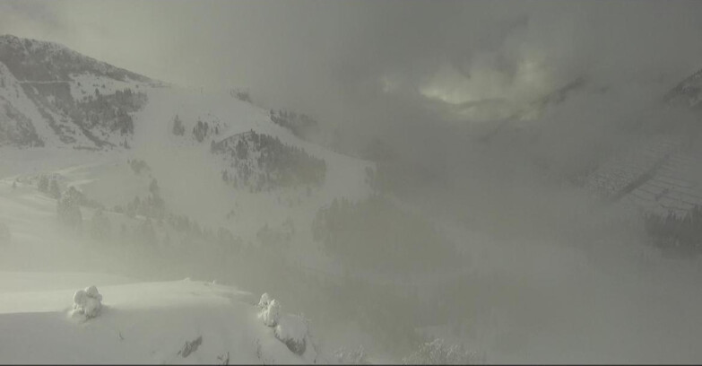 Webcam Pampeago  - Predazzo -  Obereggen - Agnello Slope