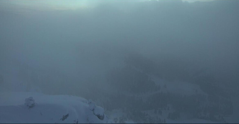 Webcam Pampeago  - Predazzo -  Obereggen - Agnello Slope