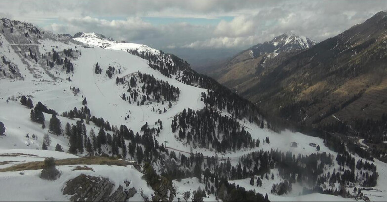 Webcam Pampeago  - Predazzo -  Obereggen - Pista Agnello