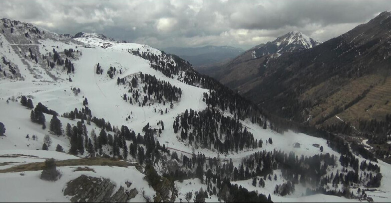 Webcam Pampeago  - Predazzo -  Obereggen - Pista Agnello