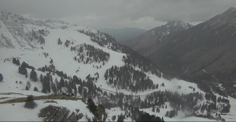 Webcam Pampeago  - Predazzo -  Obereggen - Pista Agnello