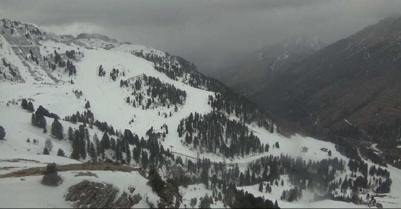 Webcam Pampeago  - Predazzo -  Obereggen - Pista Agnello