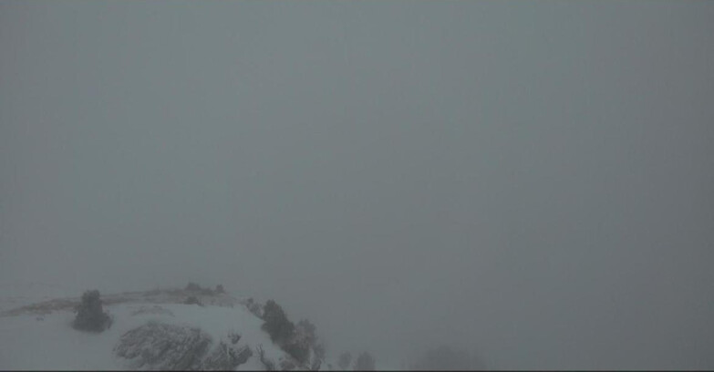 Webcam Pampeago  - Predazzo -  Obereggen - Pista Agnello