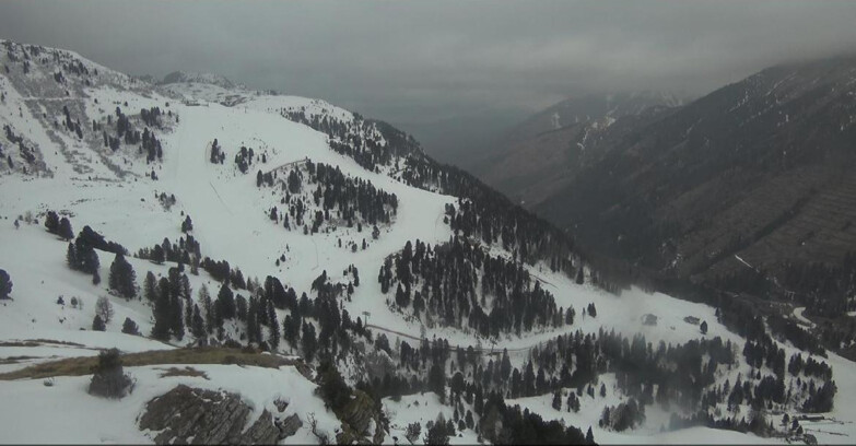 Webcam Pampeago  - Predazzo -  Obereggen - Pista Agnello