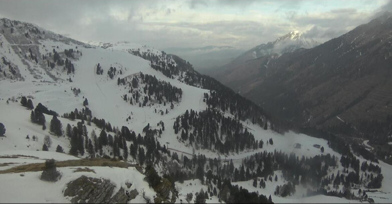 Webcam Pampeago  - Predazzo -  Obereggen - Pista Agnello