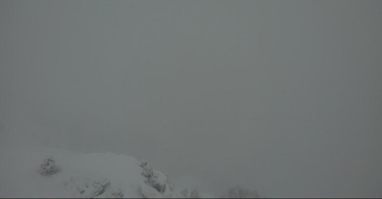 Webcam Pampeago  - Predazzo -  Obereggen - Piste Agnello