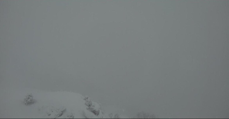 Webcam Pampeago  - Predazzo -  Obereggen - Piste Agnello