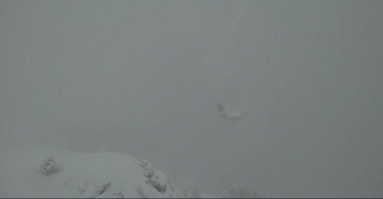 Webcam Pampeago  - Predazzo -  Obereggen - Piste Agnello