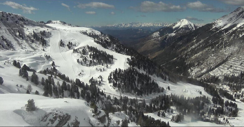 Webcam Pampeago  - Predazzo -  Obereggen - Agnello Slope