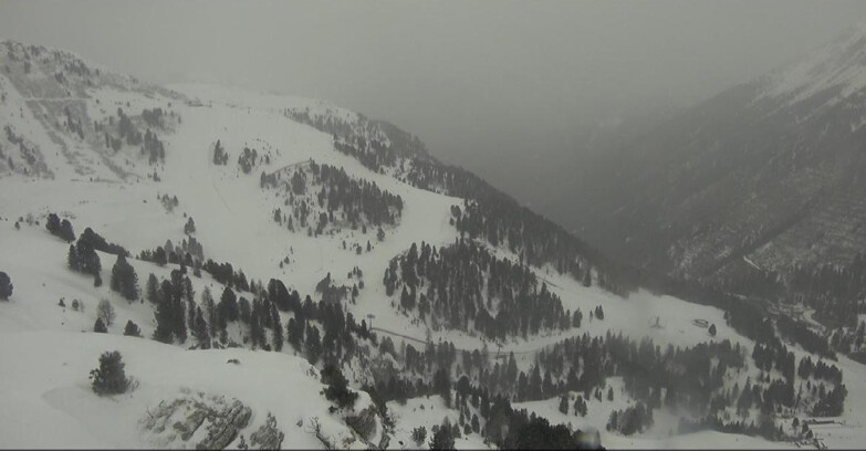 Webcam Pampeago  - Predazzo -  Obereggen - Pista Agnello