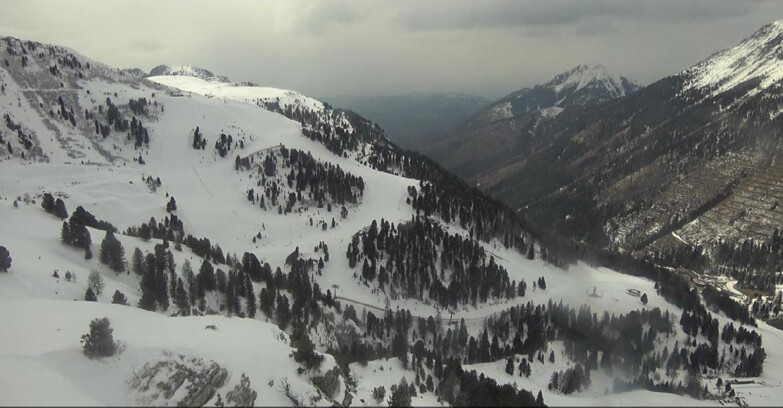 Webcam Pampeago  - Predazzo -  Obereggen - Pista Agnello